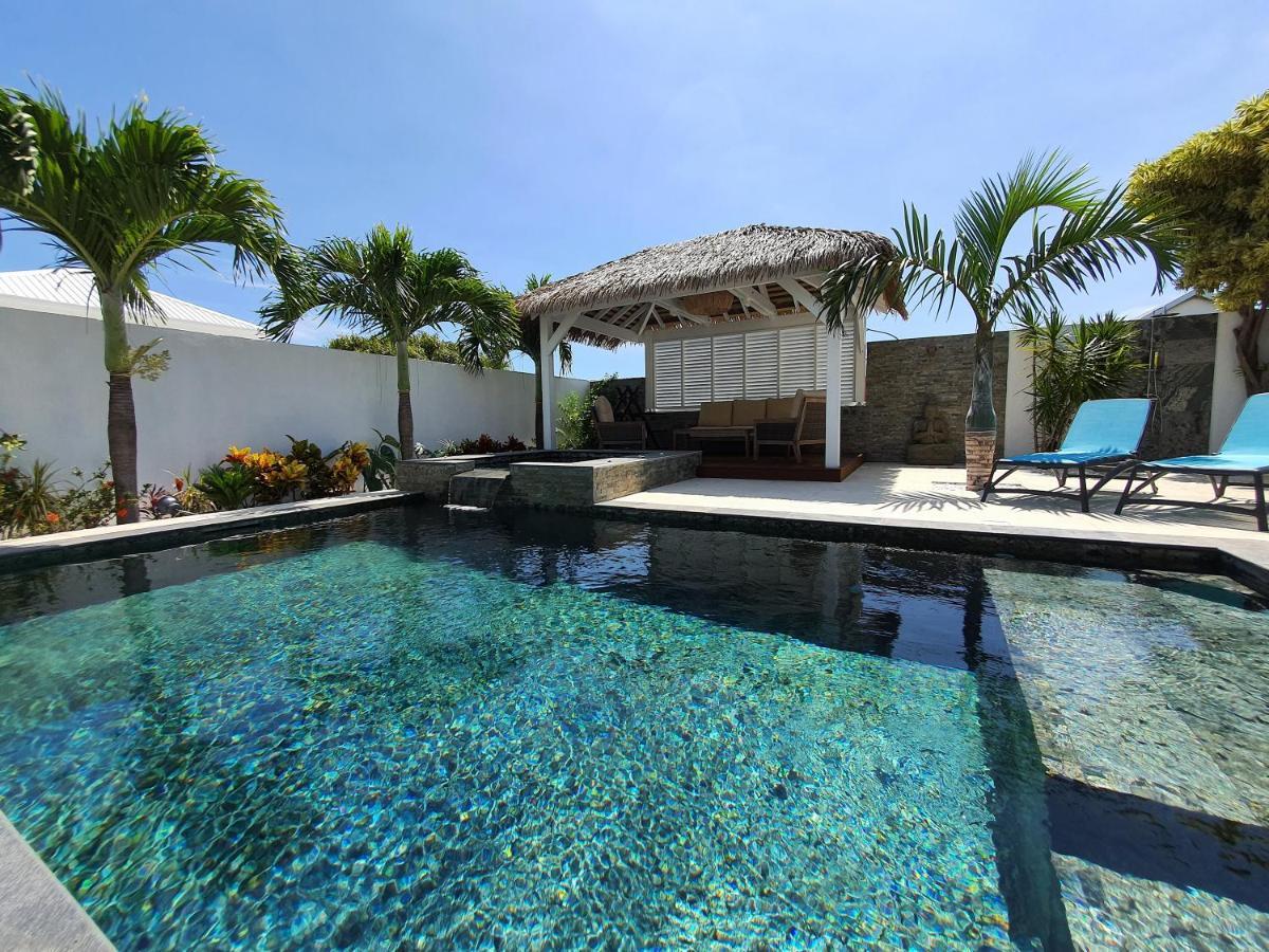La Villa Rosaya - Piscine & Jacuzzi サン・ピエール エクステリア 写真