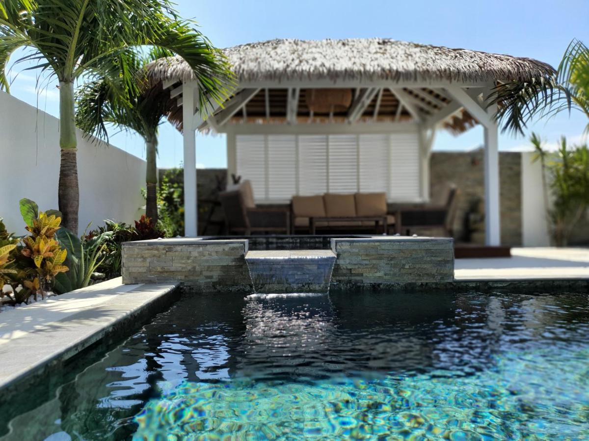 La Villa Rosaya - Piscine & Jacuzzi サン・ピエール エクステリア 写真